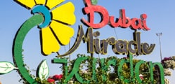 Dubai Miracle Garden: All You Need To Know Before Your Visit
